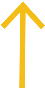 scroll to top